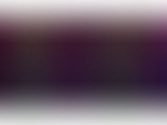 Extremely colorful, incredibly bright and highly multiplexed