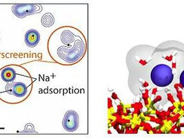 Innovative nanotransistor for easy measurement of electrolyte concentration in blood