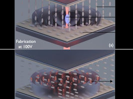 Electrically Switchable Continuous Phase Liquid Crystal Fresnel Zone Plate