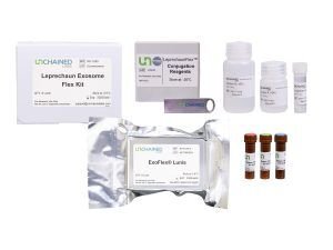 Leprechaun Flex Conjugation Reagents