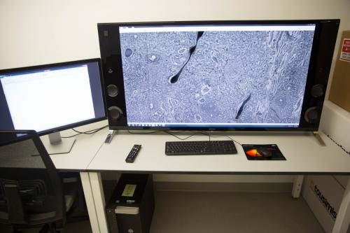 IMARIS Workstation