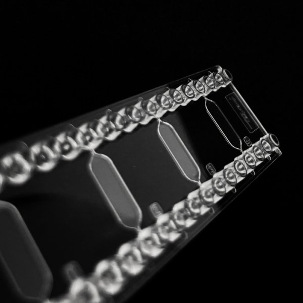 Rhombic Chamber Chip 131 by microfluidic ChipShop