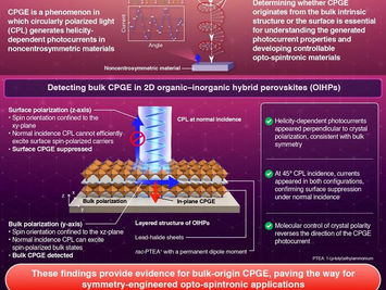 Molecular arrangement controls crystal polarity and reverses photocurrent direction