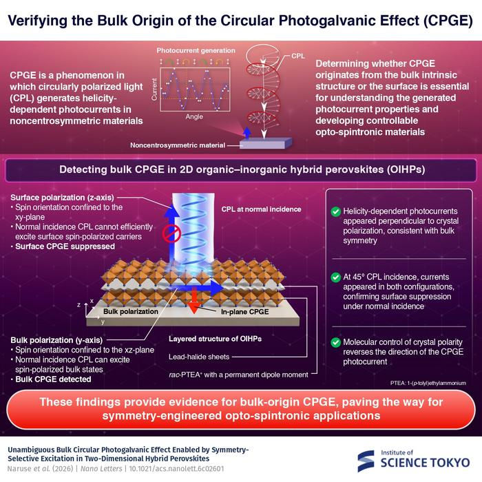 The researchers used circularly polarized light at normal incidence and found that helicity-dependent photocurrents appeared perpendicular to the crystal’s polarization but vanished when measured parallel to it, supporting a bulk origin of CPGE. @Institute of Science Tokyo