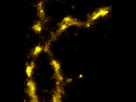 Researchers are first to see DNA 'blink'