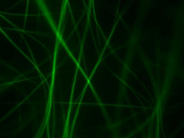 Do cells have exotic vibrational properties?