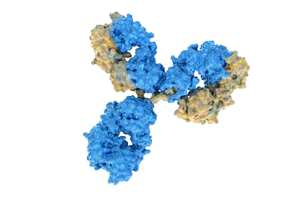 Mpox Monoclonal Antibody 3A3