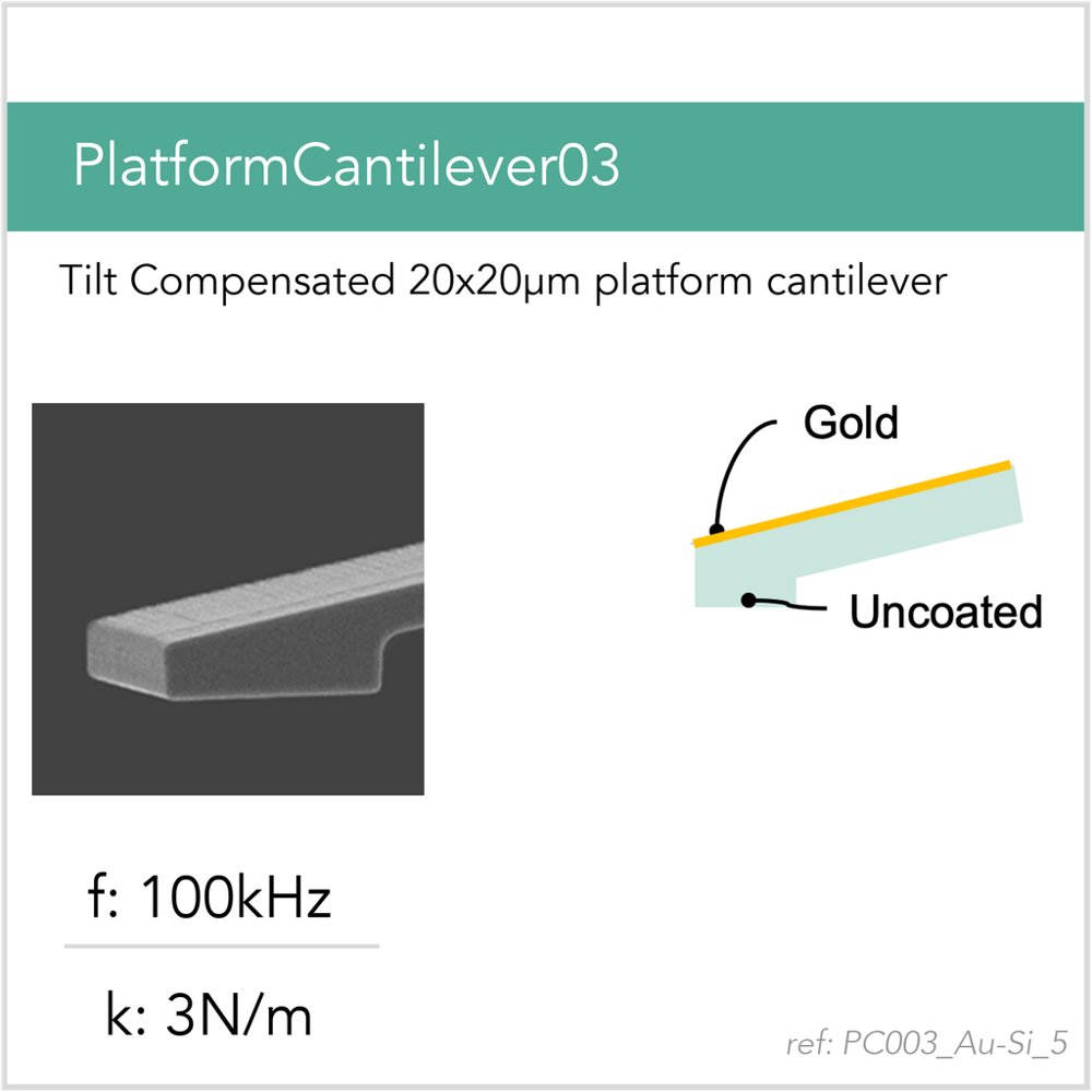 PC003_Au-Si_5 Platform Cantilever AFM Probe