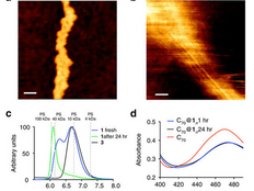 Nanotubes that build themselves