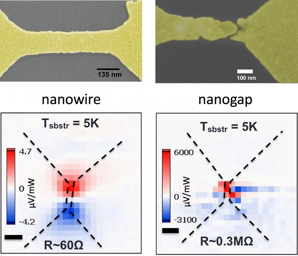 Rice University scientists discovered that 'hot' electrons can create a photovoltage about a thousand times larger than ordinary temperature differences in nanoscale gaps in gold wires. On the left, a laser-heated, bowtie-shaped plasmonic gold nanowire created a small voltage in the wire. On the right, a gold nanowire with a nanogap under the same light source showed a much stronger voltage at the break. @ Natelson Group/Rice University
