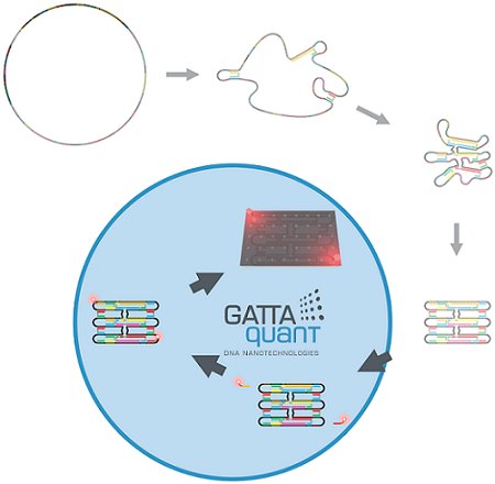 GATTAquant nanorulers