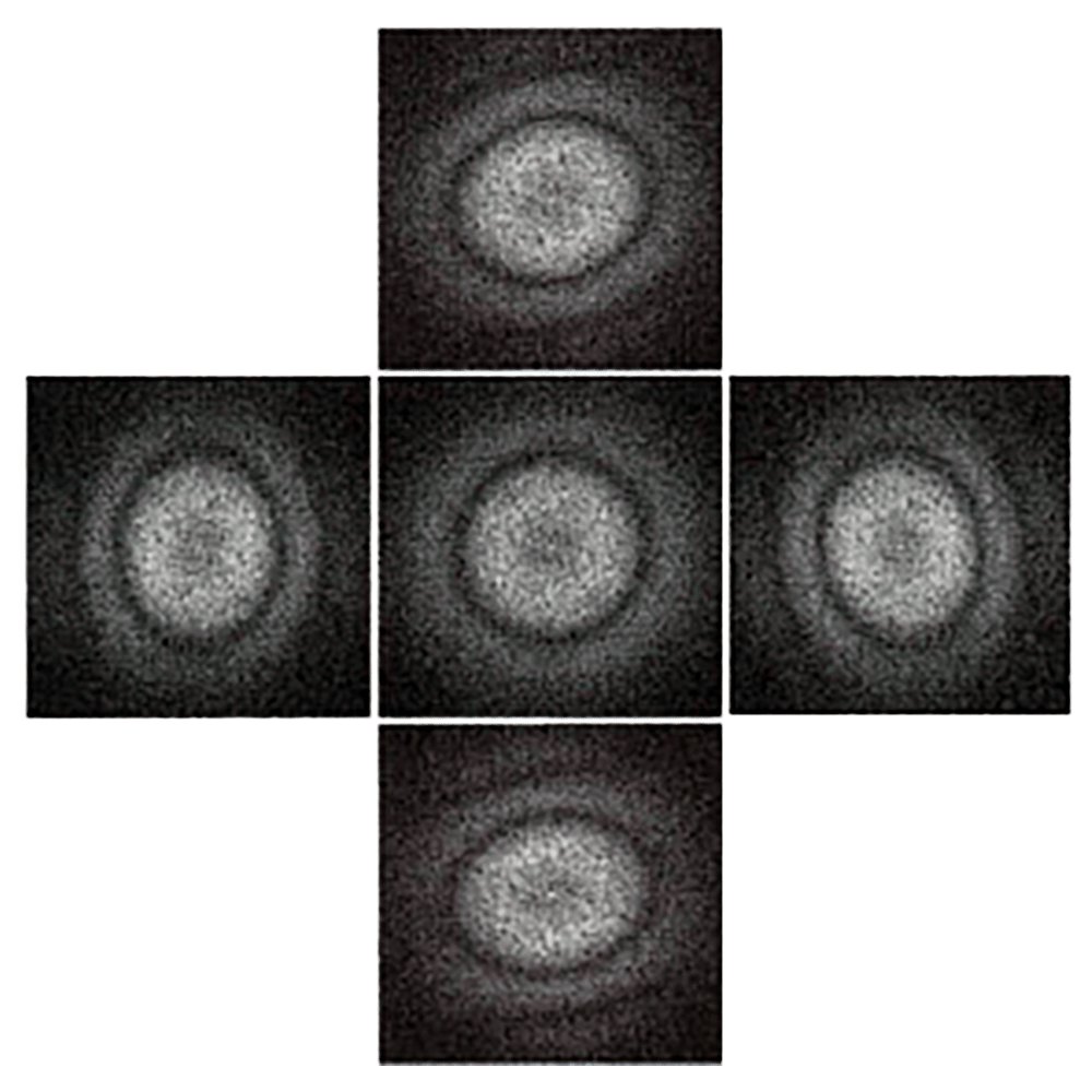 DigitalMontage Software