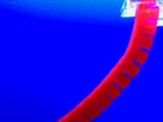Scientists invent robot made almost entirely of water