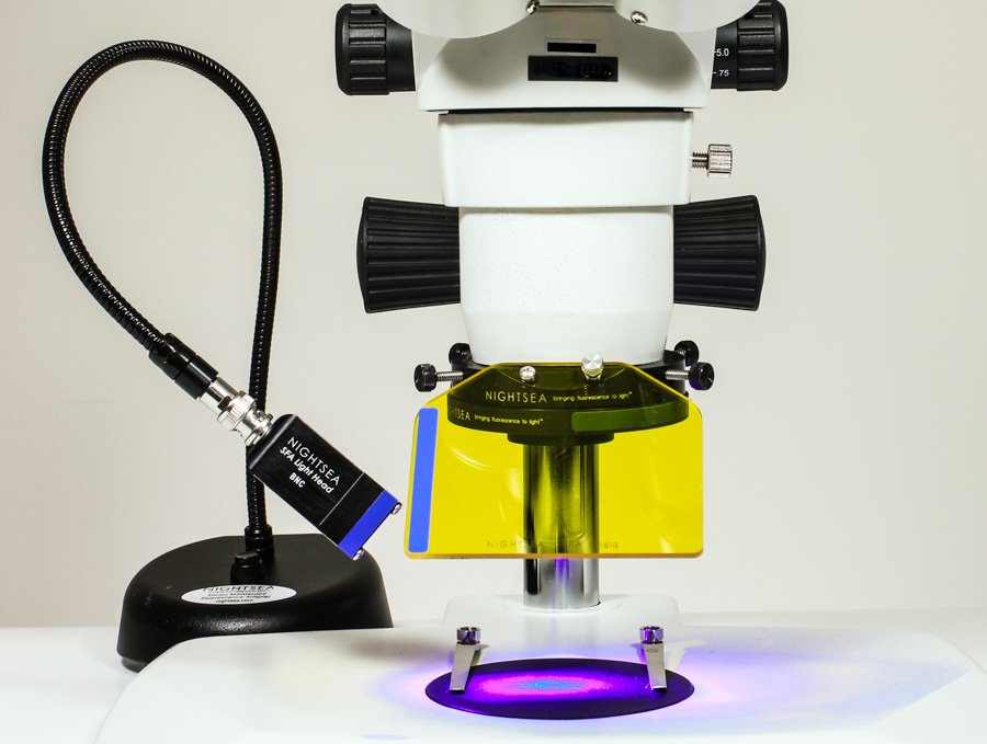 Modular excitation/emission sets (SFA-LFS)
