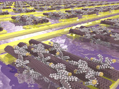 Carbon nanotubes self-assemble into tiny transistors