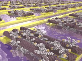 Carbon nanotubes self-assemble into tiny transistors