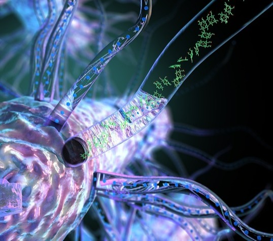 Bacteria producing nanowires made up of cytochrome OmcS. @ Ella Maru Studio