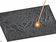 Lasers carve the path to tissue engineering