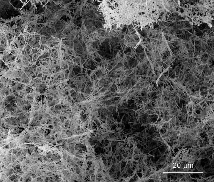 UC Davis physicists Dustin Gilbert, Kai Liu and colleagues have come up with a new, simpler method to make a nanofoam of palladium. A nanofoam is a low density, porous material with very small pore size. The foamy metal could be used to store hydrogen in vehicles or for other purposes. @ Dustin Gilbert and Kai Liu, UC Davis