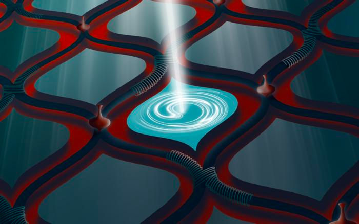 Hybrid quantum computer observes foundational quantum effect in a new setting