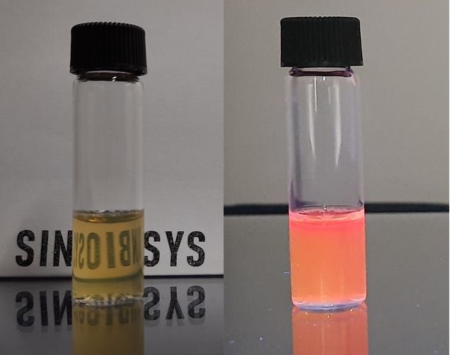 Water suspendable silicon quantum dots for bio imaging applications