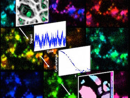 Science provides new way to peer into pores