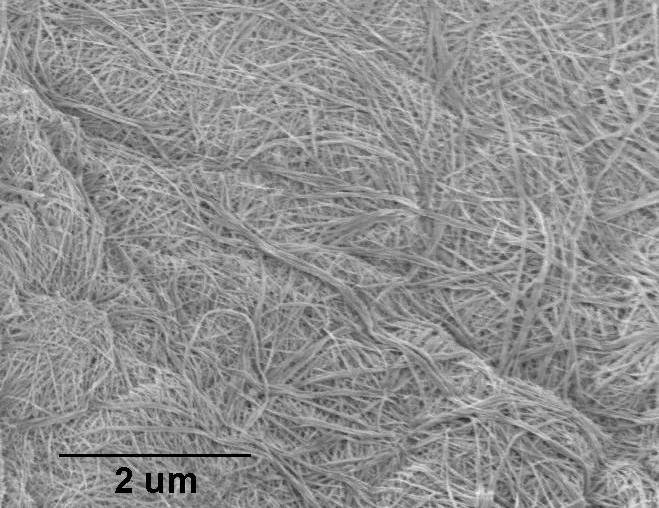 Anatase Nanowires B1 (10nm×10um, Research Grade)