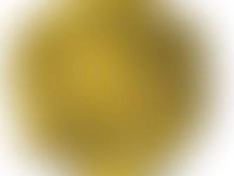 Highly efficient heavy metal ions filter