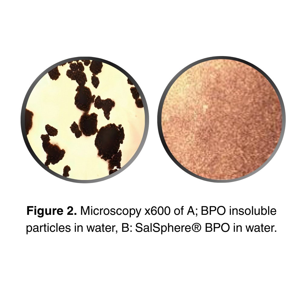 SalSphere® Benzoyl Peroxide (BPO)