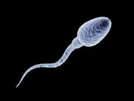 Fast, efficient sperm tails inspire nanobiotechnology