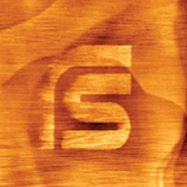 Practical Studies "Scanning probe microscopy of biopolymers"