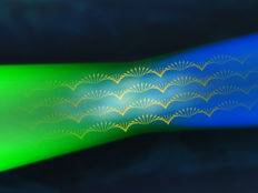 Measuring the magnetization of wandering spins