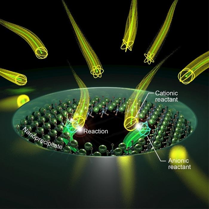 Schematic model depicting in-pore precipitation reaction in a solid-state nanopore. @Makusu Tsutsui