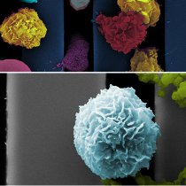 Nanoporous Silicon Nitride (NPN)