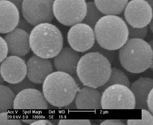 Magnetic Polystyrene Beads