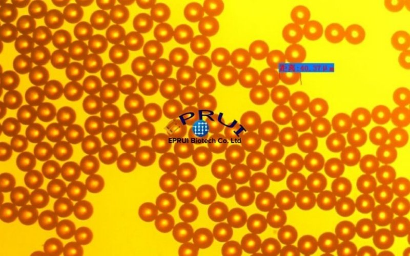 Monodisperse PMMA Microspheres