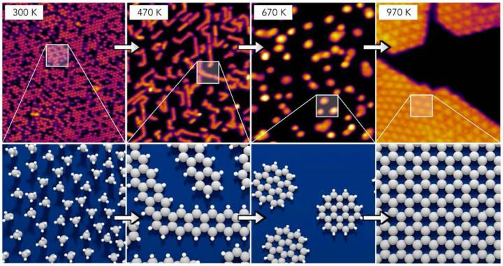 Schematic of the pathway describing the evolution of adsorbed ethene (top left) to graphene (bottom left). The sequence of intermediates identified in the study and their respective appearance temperatures are indicated. @ F. Esch, R. Schaub, U. Landman