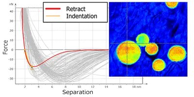 Force Curve Analysis (Module)