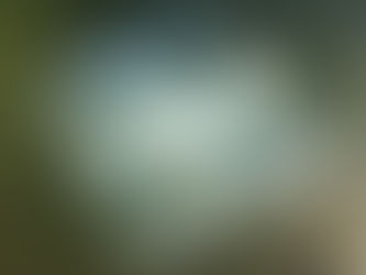 Separating DNA: From hours to minutes