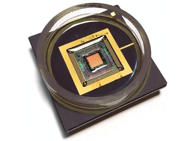 Image: Harvard University/Nature Nanotechnology