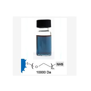 NHS Activated Gold NanoUrchins (GUN10K)