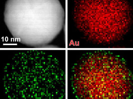 Test strips for cancer detection get upgraded with nanoparticle bling