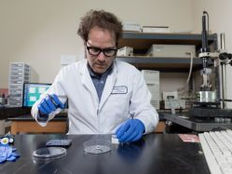 Who needs water to assemble DNA? Non-aqueous solvent supports DNA nanotechnology