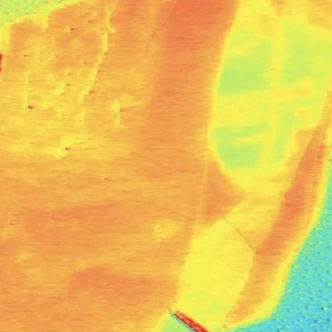 Electrostatic Force Microscopy