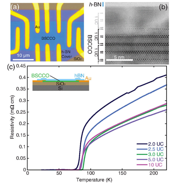 Graphic showing van der Waals BSCCO device. (a) Optical image of Hall bar device, (b) Cross-sectional view of a typical device in scanning TEM. Columns of atoms are visible as dark spots; black arrows point to bismuth oxide layers (darkest spots), while gray arrows show their extrapolated positions. (c) Resistivity as a function of temperature for devices of a different thickness. @ Argonne National Laboratory