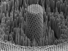 Penn engineer's 'metallic wood' has the strength of titanium and the density of water