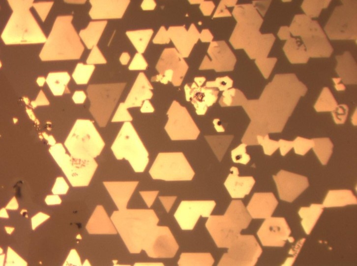 A microscope image shows numerous super-thin chromium telluride crystals grown atop tungsten diselenide. The crystals’ neat alignment with one another is an indication of dative epitaxy, the method through which the crystals were grown. Credit: Mengying Bian
