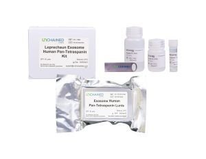 Leprechaun Exosome Human Plasma Flex Kit