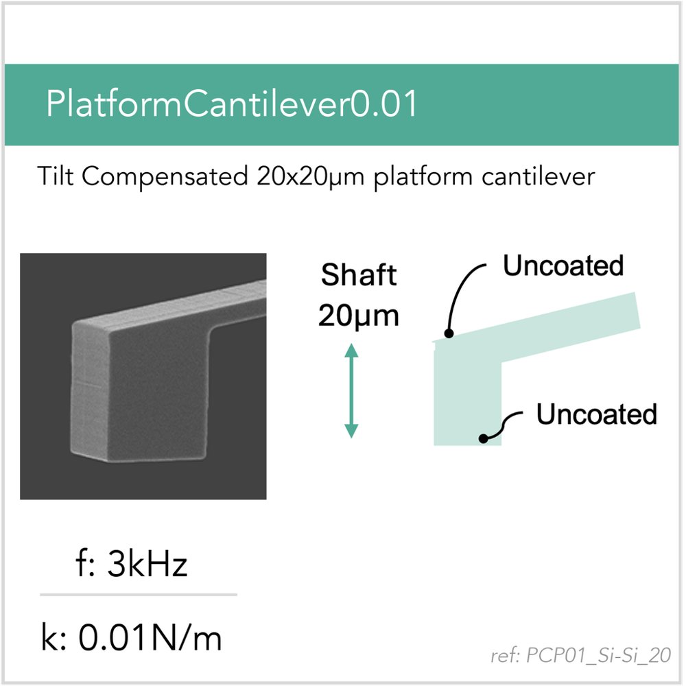 PCP01_Si-Si_20 Platform Cantilever AFM Probe