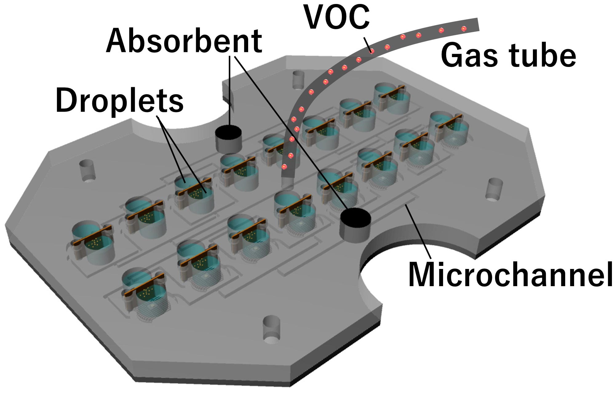Schematic diagrams showing the network of tubes and channels that make up the VOC sensor. © 2020 AAAS/Takeuchi et al.